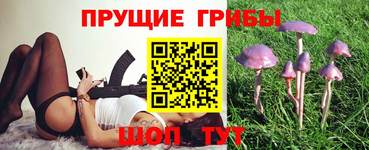 Белореченск  Псилоцибиновые грибы GOLDEN TEACHER  Вход с VPN 